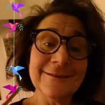 Dianne Klein - @dklein0318 - Instagram