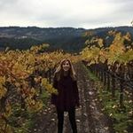 Dianne Klein - @dianneklein7330 - Instagram
