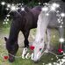 Diane Kool - Facebook