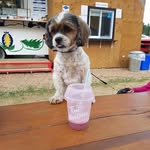Dianne Kosnaski - @diannekosnaski - Instagram
