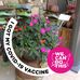 Dianne Kyle - Facebook