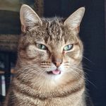 Dianne Lancaster - @bwytch - Instagram