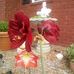Dianne Lang - Facebook