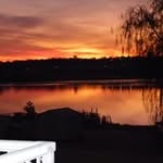 Dianne Langman - @langmandianne - Instagram