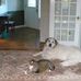 Diane Langdon - Facebook