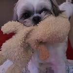 Dianne Larson - @dilarson3031 - Instagram