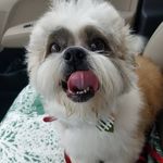 Dianne Larson - @diannelarson31 - Instagram