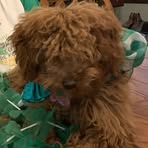 Dianne Larson - Facebook