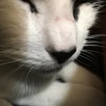 Dianne Law - @dianne_law_ - Instagram