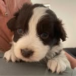 Dianne Lawrence - @diannelawrence68 - Instagram
