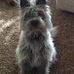 Dianne Link - Facebook