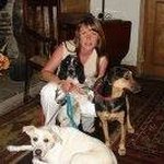 Diane Longley - @longleydiane - Instagram