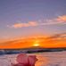 Dianne Michael - Facebook