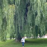Dianne D'Pulos Newbury - @diannenewbury13 - Instagram