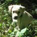 Dianne Nicholson - Facebook