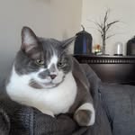 Dianne Obrien - @dianne.obrien.1422 - Instagram
