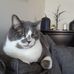 Dianne Obrien - Facebook