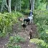 Dianne Olson Hoffman - @dianne.olson.hoff - TikTok