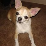Dianne Park - @diannepark1960 - Instagram