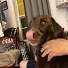 Dianne67🌻 - @dianne.phillips36 - TikTok