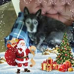 Dianne Phillips - @dianne.phillips.54738 - Instagram