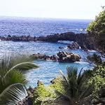 Dianne Rainer - @dianne_rainer - Instagram