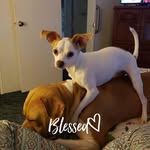 Dianne Raines - @dianneraines - Instagram
