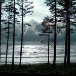 Dianne Ramey Pitner - @dianne.pitner - Instagram