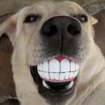 Ray - @raymonddianne - Instagram