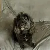 Dianne Moggzie Rees - @dianne.moggzie.re - TikTok