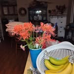 Diane Register McGahee - @dianeregister - Instagram