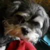 Dianne Richards - @dianne.richards - TikTok