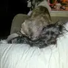 Dianne Roberts238 - @dianneroberts7479 - TikTok