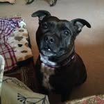 Dianne Roberts - @dianneroberts283 - Instagram