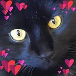 Dianne Robinson - @dianne.robinson359 - Instagram