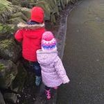 Dianne Robinson - @deerobin50n - Instagram