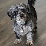 Dianne Robinson - @diannerobby - Instagram
