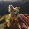 Dianne Robinson - @dianne.robinson1 - TikTok