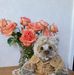 Dianne Robinson - Facebook