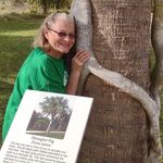 Diane Foley Root - @diane.root.7 - Instagram