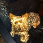 Dianne Rooth - @diannerooth - Instagram