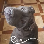 Dianne Ross - @dianne.ross.37 - Instagram