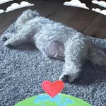 Dianne Saunders - @saunders_fc17 - Instagram