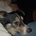 Diane Schulz - Facebook