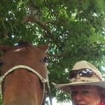 Dianne Schulz - @dianne.schulz.5 - Instagram