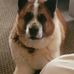 Dianne Shaw - Facebook