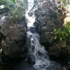 Dianne Solomon355 - @diannesolomon355 - TikTok