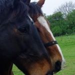 Dianne Stuart - @djs1150 - Instagram
