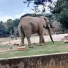 Dianne Stuart - @dianne.stuart - TikTok