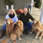 Dianne Stuart-Arsenault - @diannestuartarsenault - Instagram